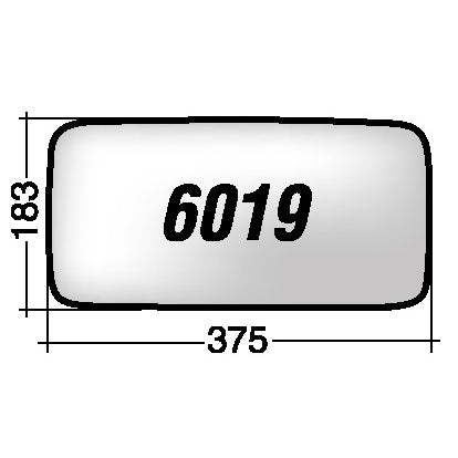 Vetro SPECCHIO RETROVISORE Sinistro/Destro DAF LF 45 2001-2006