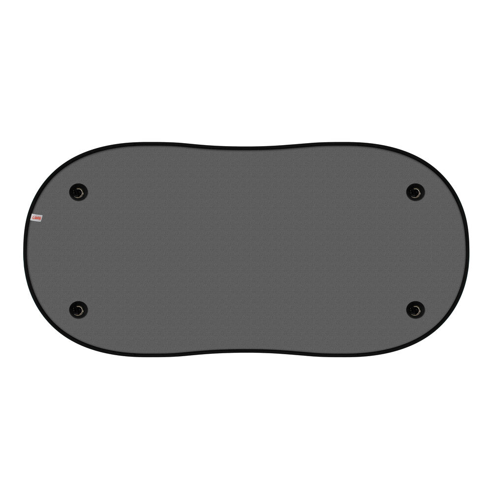 66918-Molly-P